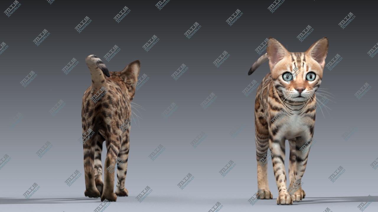 images/goods_img/20210319/Bengal cat(ANIMATED)/4.jpg